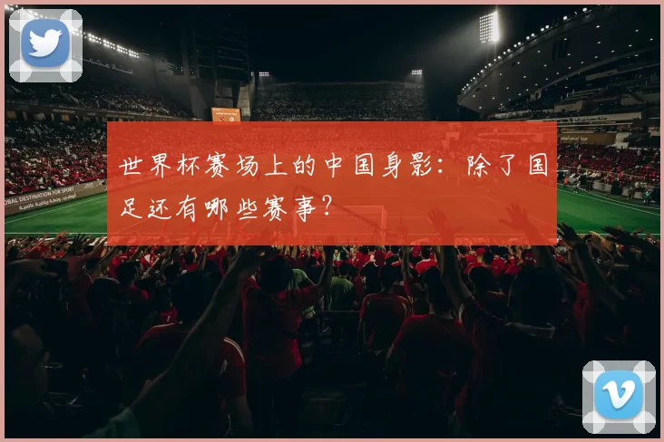 世界杯赛场上的中国身影：除了国足还有哪些赛事？