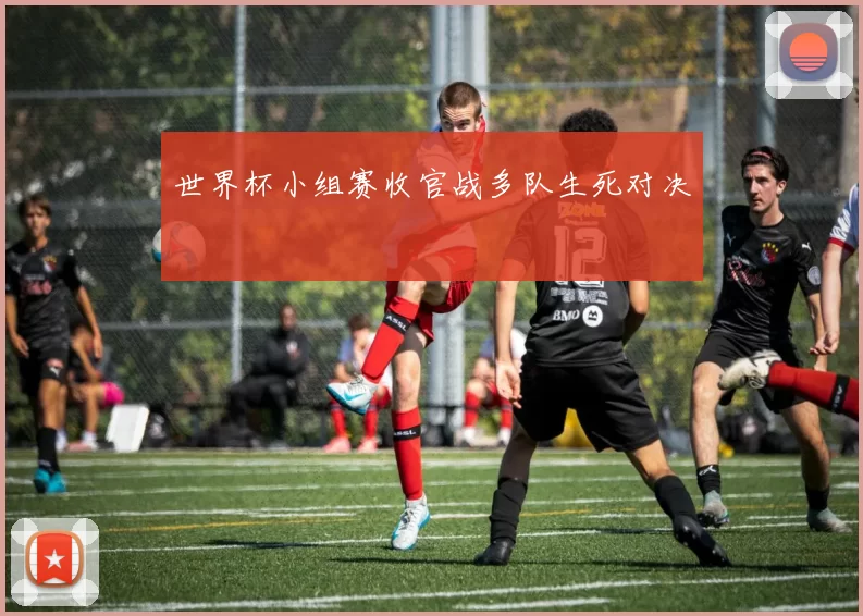 世界杯小组赛收官战多队生死对决