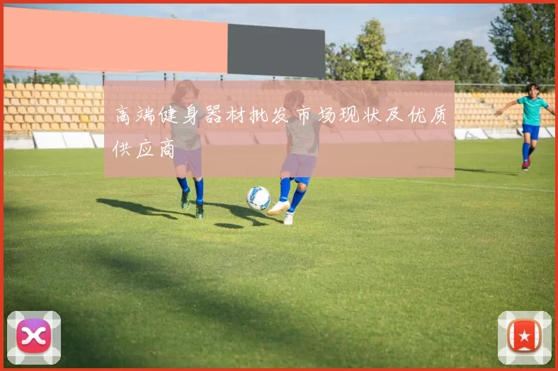 高端健身器材批发市场现状及优质供应商
