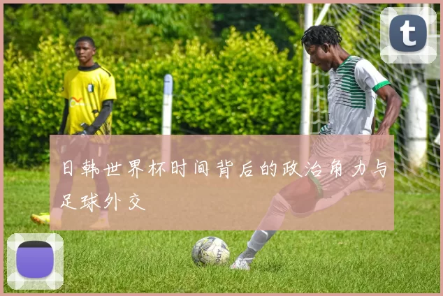 日韩世界杯时间背后的政治角力与足球外交