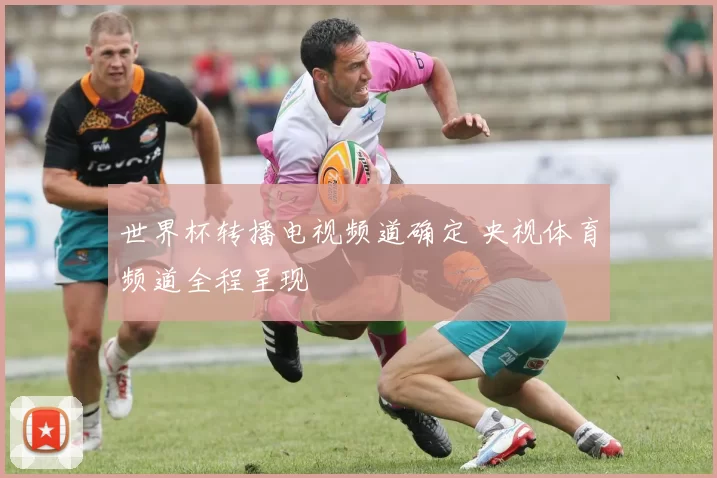 世界杯转播电视频道确定 央视体育频道全程呈现