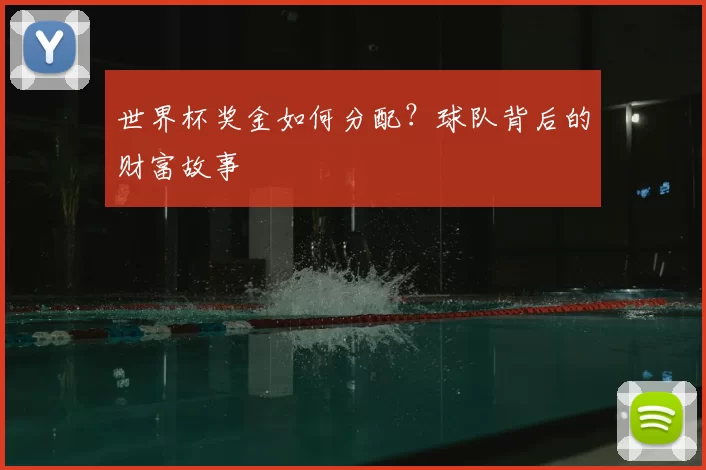世界杯奖金如何分配?球队背后的财富故事