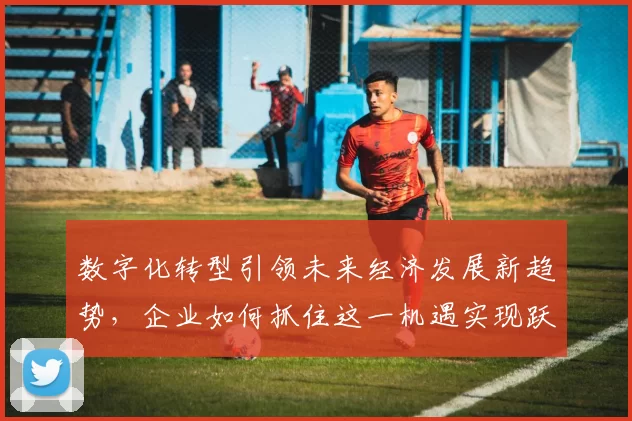 数字化转型引领未来经济发展新趋势，企业如何抓住这一机遇实现跃升
