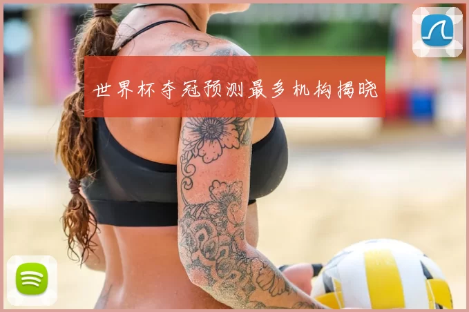 世界杯夺冠预测最多机构揭晓