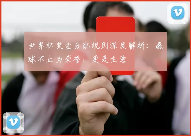 世界杯奖金分配规则深度解析：赢球不止为荣誉，更是生意
