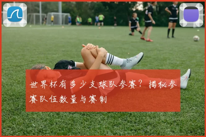 世界杯有多少支球队参赛？揭秘参赛队伍数量与赛制
