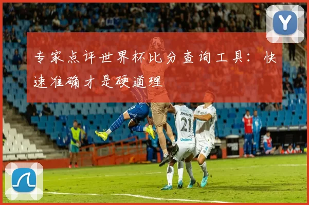 专家点评世界杯比分查询工具:快速准确才是硬道理