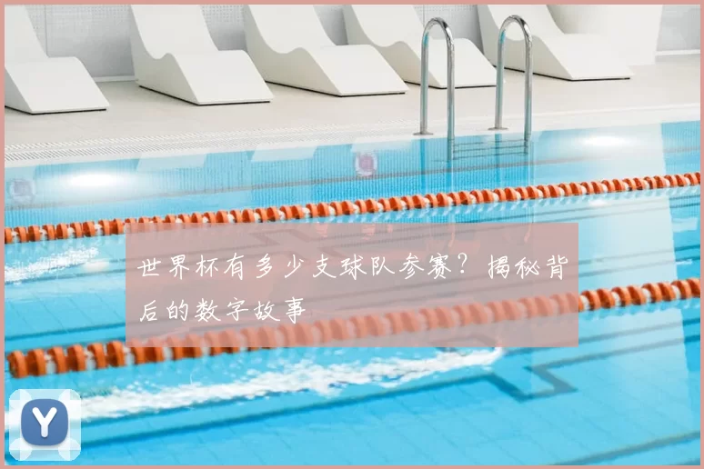 世界杯有多少支球队参赛？揭秘背后的数字故事