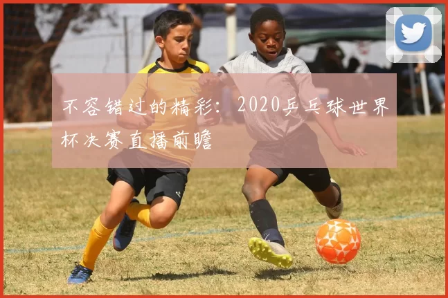 不容错过的精彩：2020乒乓球世界杯决赛直播前瞻
