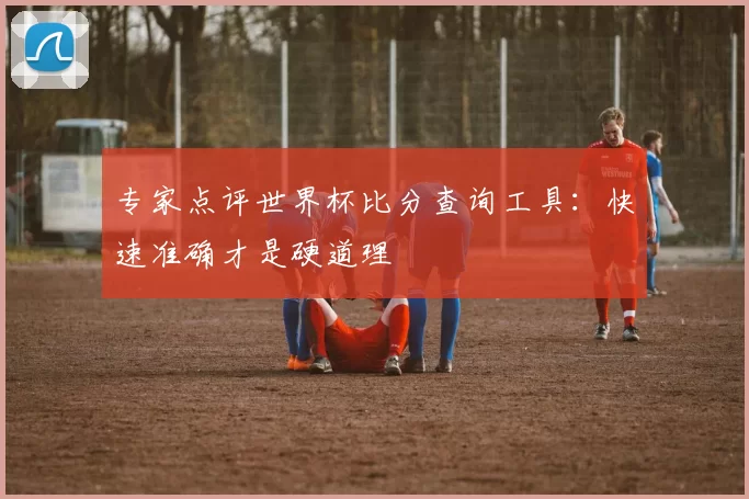 专家点评世界杯比分查询工具:快速准确才是硬道理